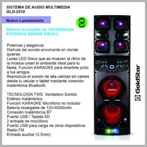 SISTEMA DE AUDIO GOLDSTAR GLD2310 (R)